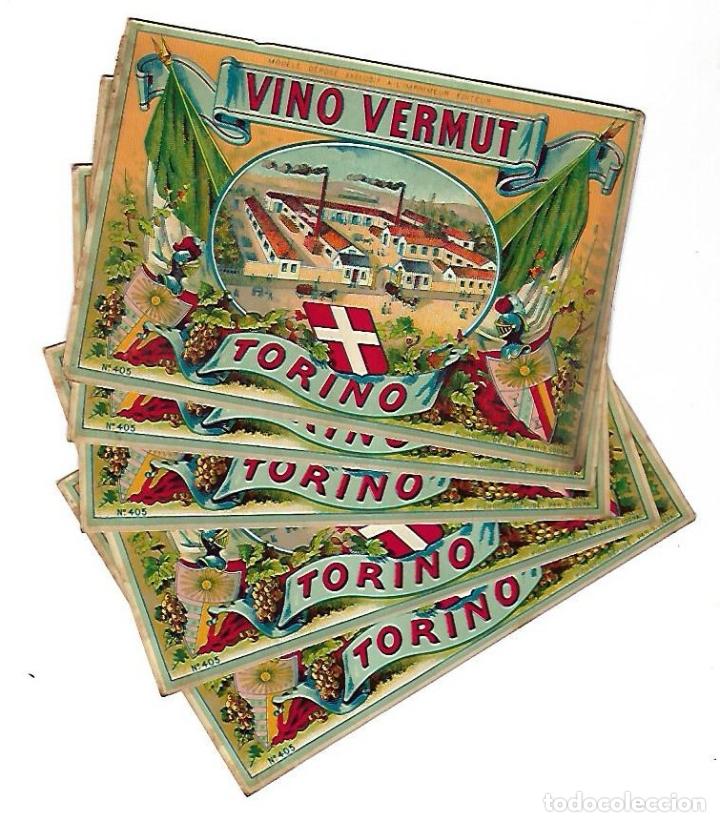 Etichette antiche: LOTE DE 5 ETIQUETAS. VINO VERMUT. TORINO. 14 X 10CM