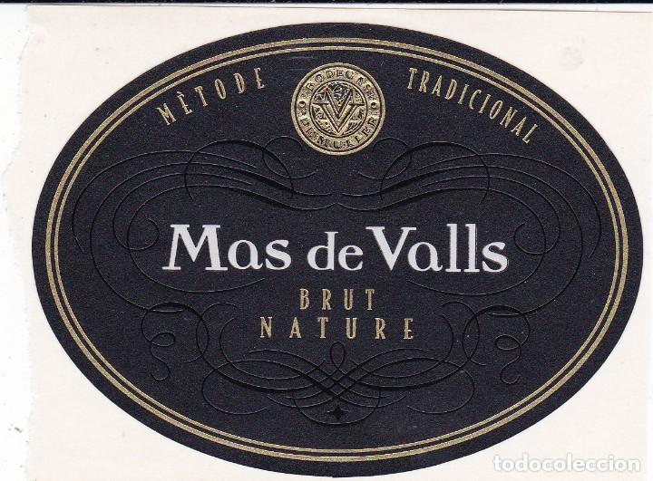 Etiquetas antiguas: etiqueta Mas de Valls Brut Nature