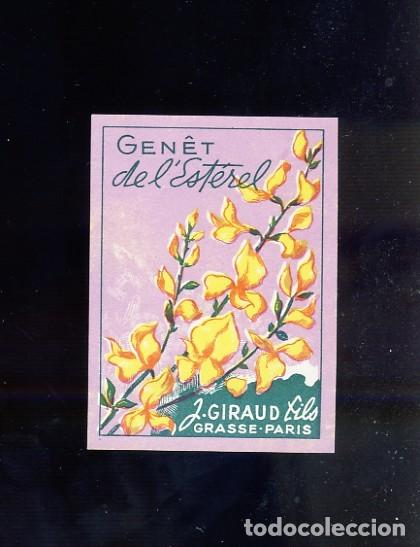 Etiquetas antiguas: Etiqueta de perfumeria GENET DE L'ESTEREL. Perfume (4 x 6 cms)