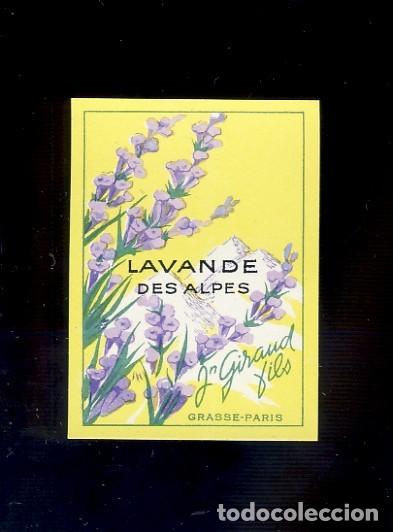Etiquetas antigas: Etiqueta de perfumeria LAVANDE DES ALPES. Perfume (4 x 6 cms)