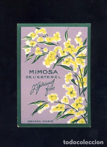 Etiquetas antigas: Etiqueta de perfumeria MIMOSA DE L'ESTEREL. Perfume (5 x 7 cms)