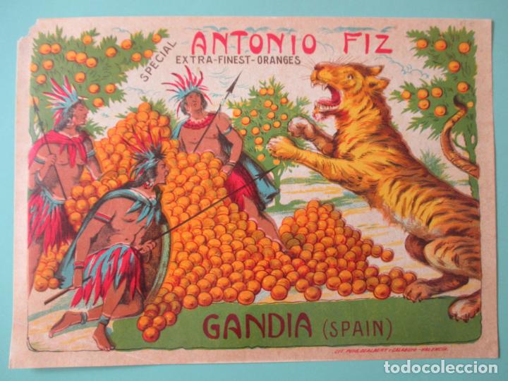 Old Labels: ETIQUETA DE NARANJAS. ANTONIO FIZ. EXTRA - FINEST - ORANGES. GANDIA SPAIN. 19 X 26 CM