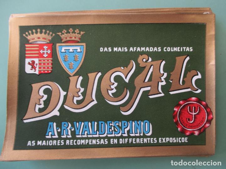 Old Labels: LOTE DE 37 ETIQUETAS DE DUCAL. VALDESPINO. DAS MAIS AFAMADAS COLMEITAS 13 X 9.5 CM
