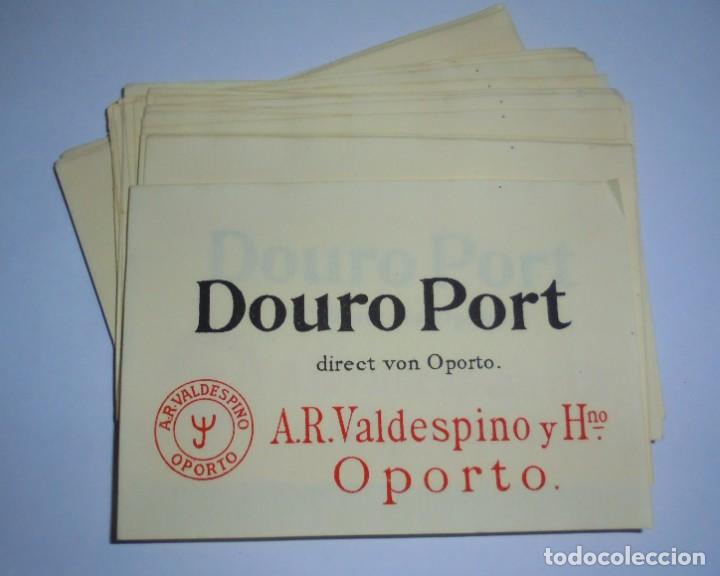Alte Etiketten: LOTE DE 50 ETIQUETAS DE DOURO PORT. VALDESPINO. OPORTO. 12.5 X 9 CM