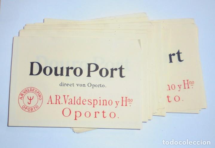 Alte Etiketten: LOTE DE 50 ETIQUETAS DE DOURO PORT. VALDESPINO. OPORTO. 12.5 X 9 CM