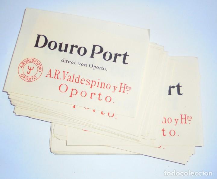 Alte Etiketten: LOTE DE 50 ETIQUETAS DE DOURO PORT. VALDESPINO. OPORTO. 12.5 X 9 CM