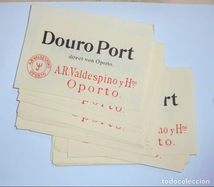 Alte Etiketten: LOTE DE 50 ETIQUETAS DE DOURO PORT. VALDESPINO. OPORTO. 12.5 X 9 CM