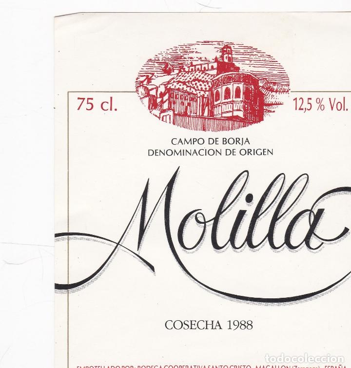 Etichette antiche: Etiquetas vinos. Molilla. Cosecha 1988. Bodega Cooperativa Santo Cristo. Zaragoza. Espa&ntilde;a