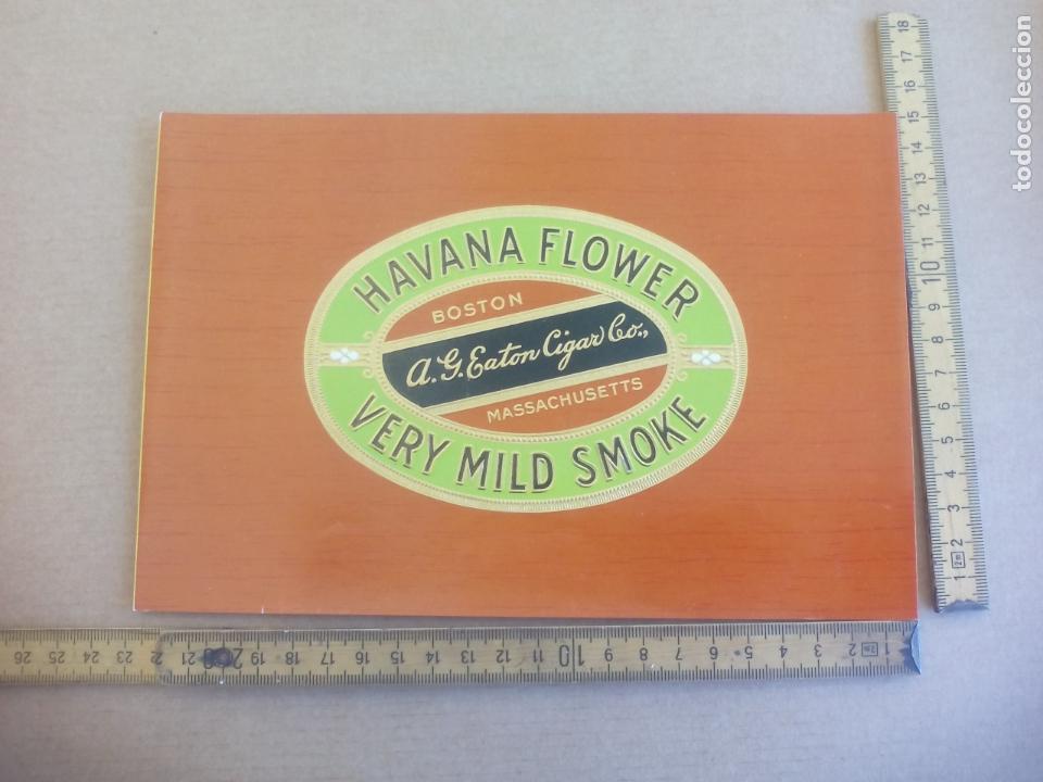 Etiquetas antiguas: HAVANA FLOWER. A.G. EATON BOSTON. ETIQUETA DE CAJA DE PUROS CIGARROS Cigar Box Label VITOLA