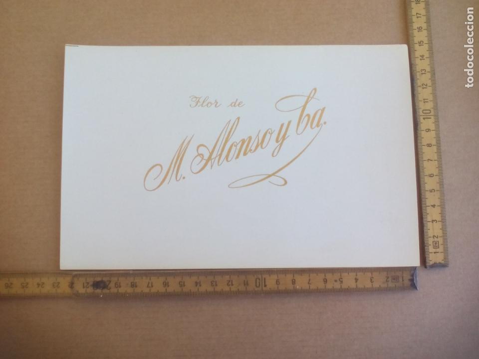 Etiquetas antiguas: FLOR DE M. ALONSO Y CA. ANTIGUA ETIQUETA DE CAJA DE PUROS CIGARROS Cigar Box Label VITOLA