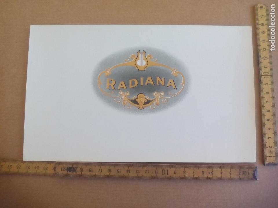 Etiquetas antiguas: RADIANA. ANTIGUA ETIQUETA DE CAJA DE PUROS CIGARROS Cigar Box Label VITOLA