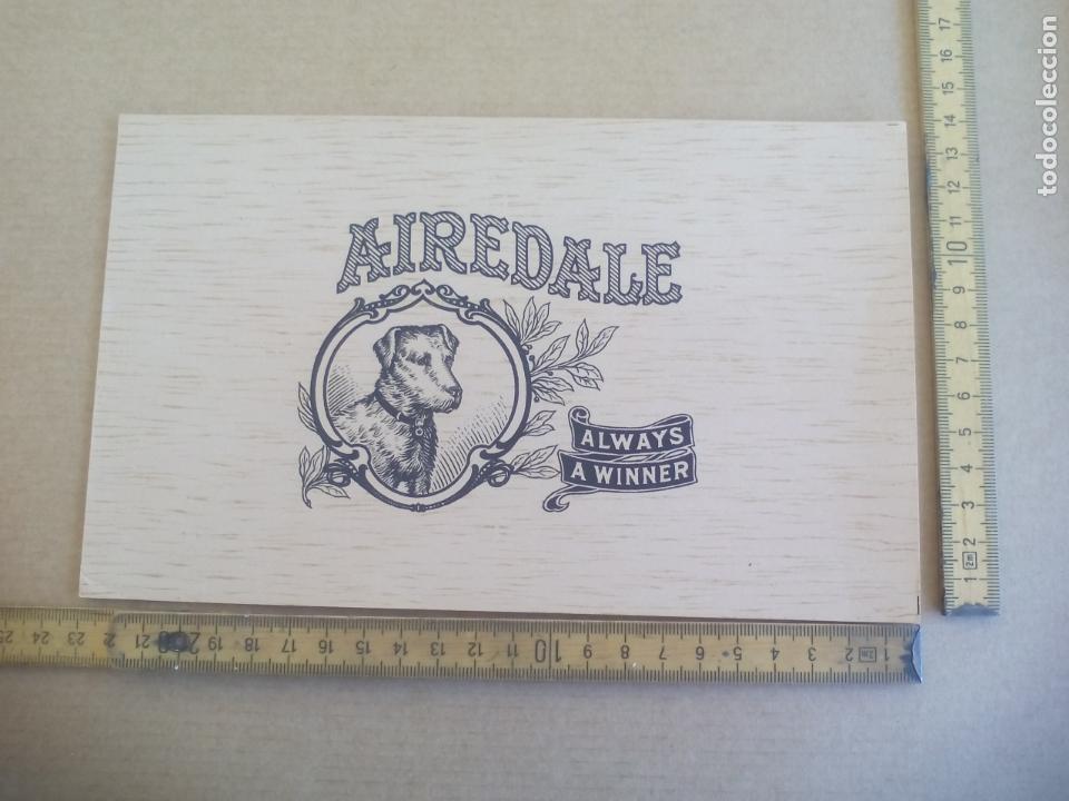 Etiquetas antiguas: AIREDALES ALWAYS A WINNER. ANTIGUA ETIQUETA DE CAJA DE PUROS CIGARROS Cigar Box Label VITOLA