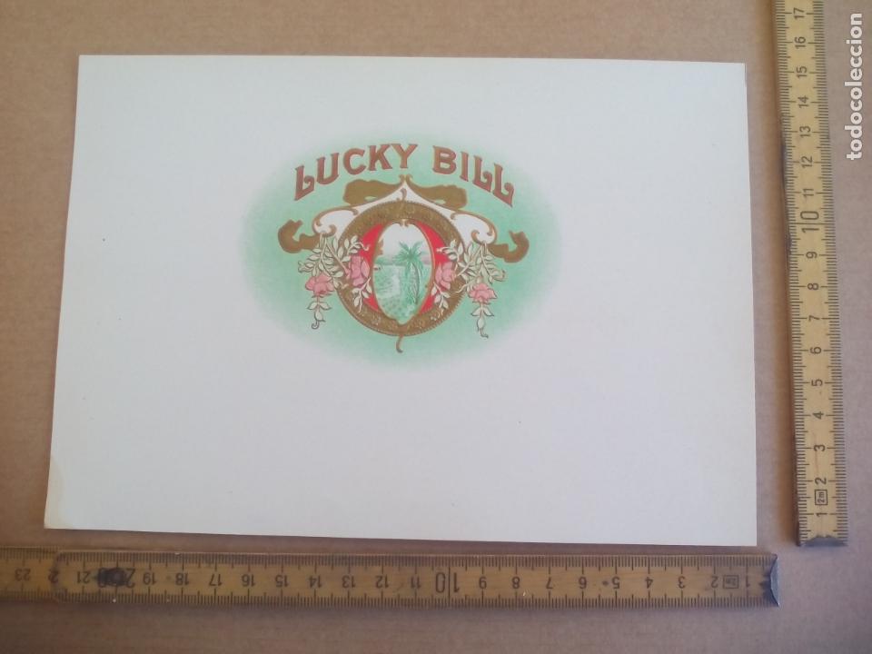 Etiquetas antiguas: LUCKY BILL. ANTIGUA ETIQUETA DE CAJA DE PUROS CIGARROS Cigar Box Label VITOLA