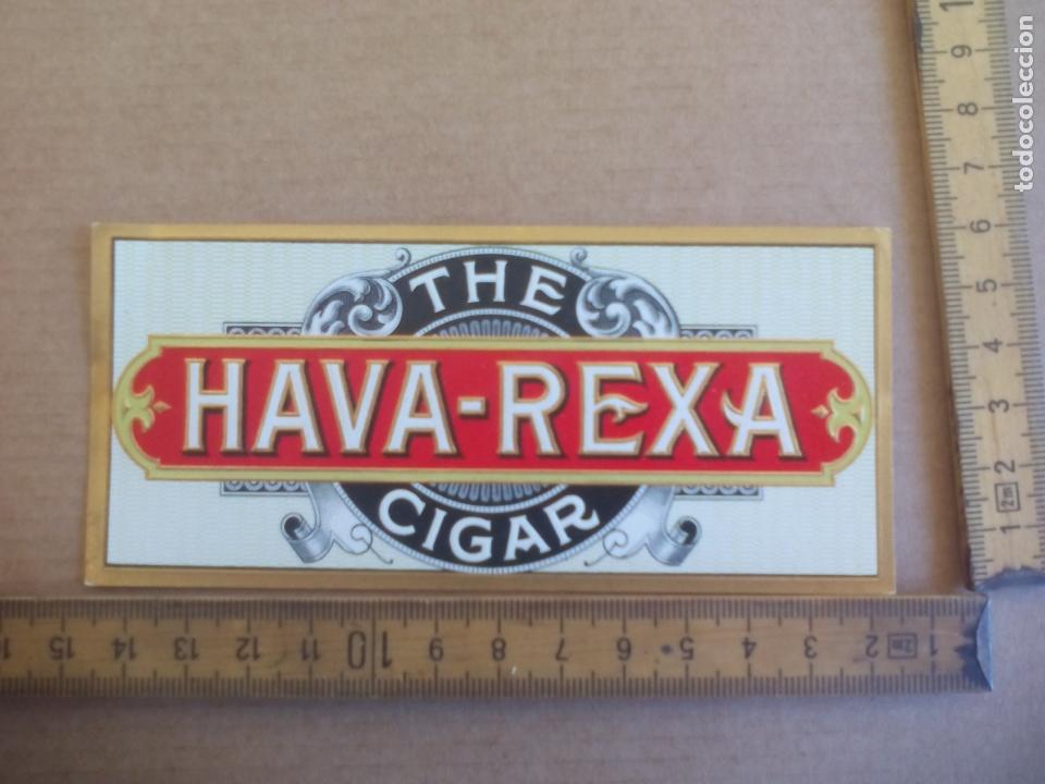 Etiquetas antiguas: HAVA-REXA THE CIGAR. ANTIGUA ETIQUETA DE CAJA DE PUROS CIGARROS Cigar Box Label VITOLA