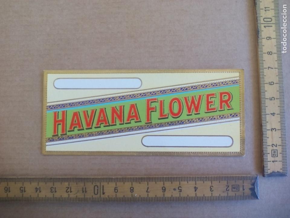 Etiquetas antiguas: HAVANA FLOWER ANTIGUA ETIQUETA DE CAJA DE PUROS CIGARROS Cigar Box Label VITOLA