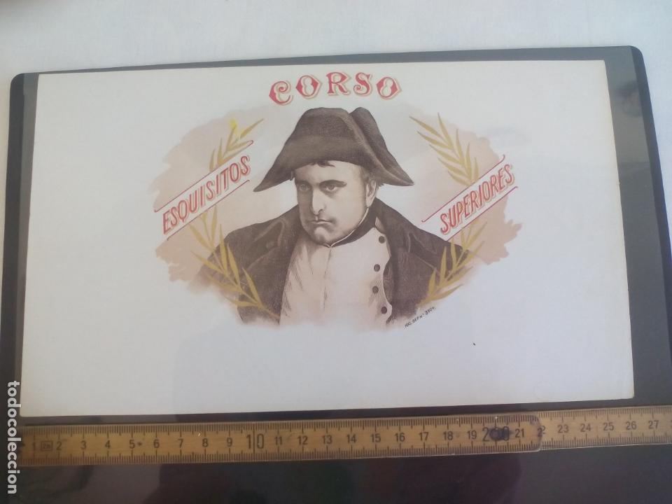 Etiquetas antiguas: CORSO EXQUISITOS SUPERIORES. HABILITACI&Oacute;N BOFETON DE CAJA DE PUROS Cigar Box Label VITOLA