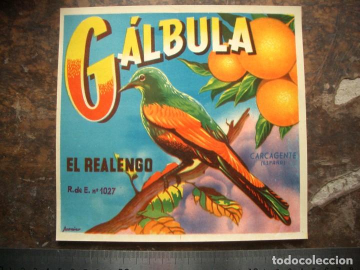 Etiquetas antiguas: Etiqueta de naranjas CAL&Iacute;BULA - Foto 1