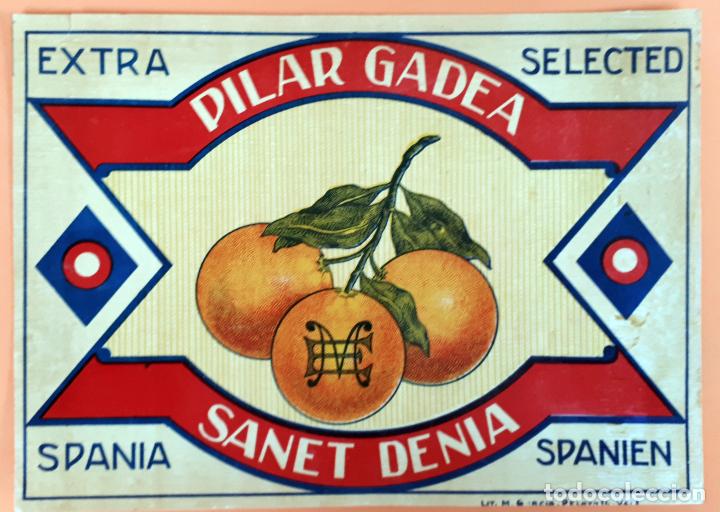 Etichette antiche: GRAN ETIQUETA CARTEL ITO NARANJAS 3 PILAR GADEA SANET DENIA ALICANTE GRANDE ORIGINAL K5