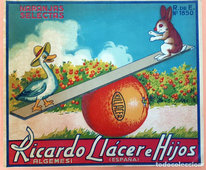Etiquetas antiguas: CARTEL ITO ETIQUETA NARANJAS RICARDO LLACER PATO CONEJO COLUMPIO VALENCIA ANTIGUA ORIGINAL K4