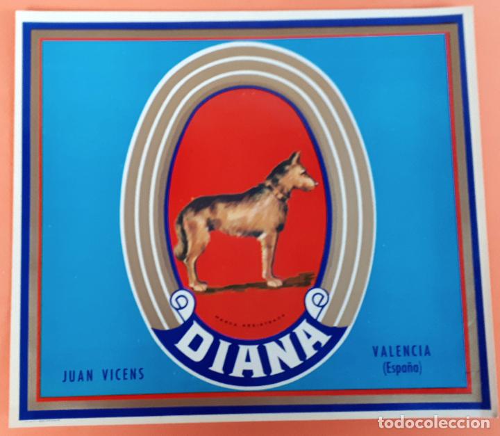 Old Labels: GRAN ETIQUETA CARTEL ITO NARANJAS DIANA PERRO JUAN VICENS VALENCIA GRANDE ORIGINAL K7