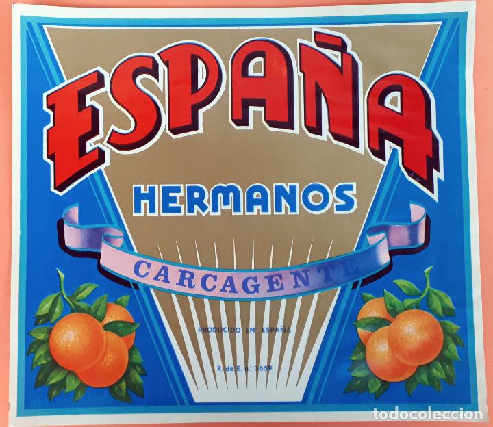 Old Labels: GRAN ETIQUETA CARTEL ITO NARANJAS ESPA&Ntilde;A HERMANOS CARCAGENTE VALENCIA ORIGINAL K6