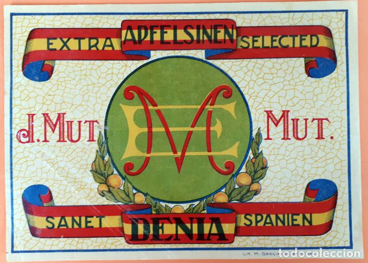 Old Labels: GRAN ETIQUETA CARTEL ITO NARANJAS ME MUT APFELSINEN SANET DENIA GRANDE ORIGINAL