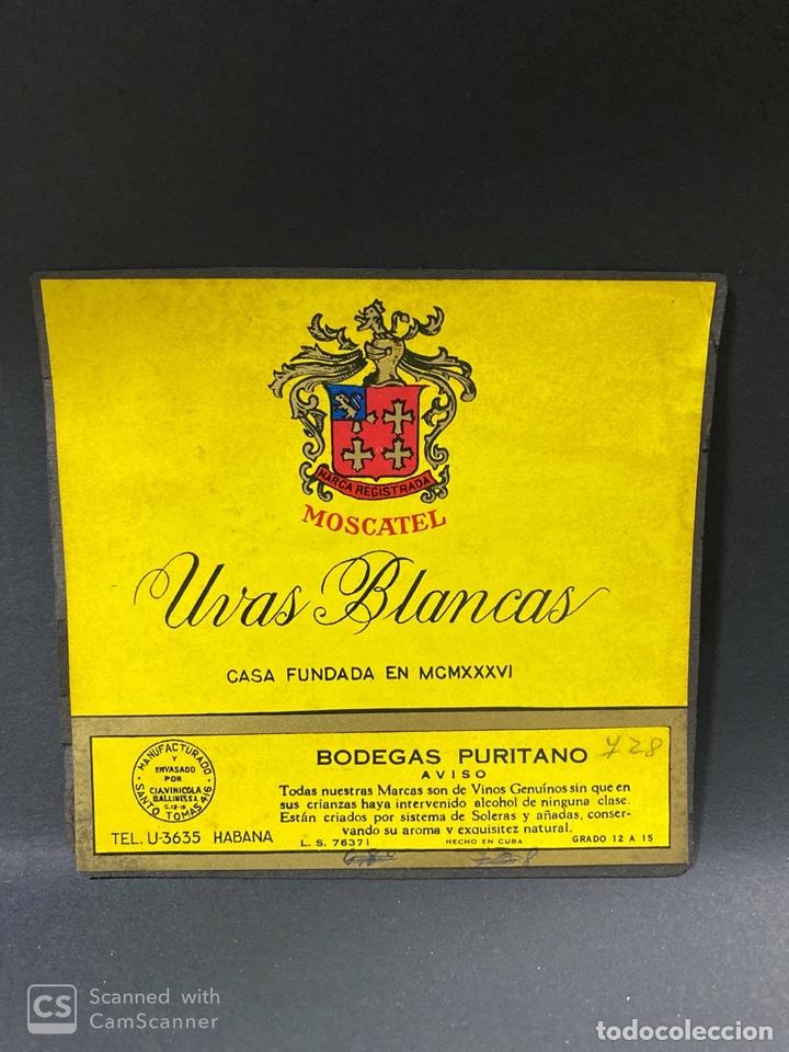 Alte Etiketten: ETIQUETA DE VINO. CUBA. HABANA. BODEGAS PURITANO. MOSCATEL. UVAS BLANCAS.
