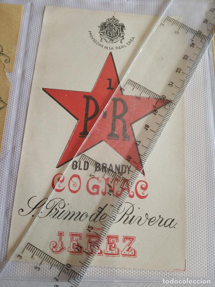 Etiquetas antiguas: etiqueta - p.r old brandy co&ntilde;ac - s.primo de rivera - jerez -