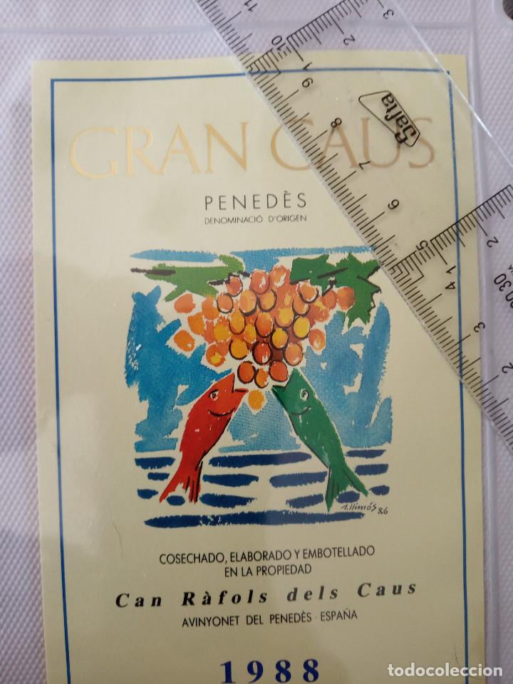Etiquetas antiguas: etiqueta de vino - gran caus - penedes - can r&agrave;fols dels caus - 1988