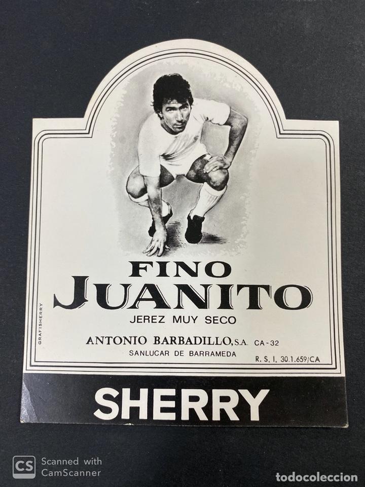 Alte Etiketten: ETIQUETA DE VINO FINO JUANITO. JEREZ MUY SECO. ANTONIO BARBADILLO. SHERRY. SANLUCAR DE BARRAMEDA