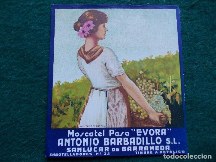 Etiquetas antiguas: ETIQUETA MOSCATEL PASA EVORA  BARBADILLO SANLUCAR