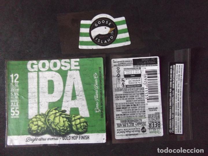 Etichette antiche: CERVEZA-V9ET-8-ETIQUETAS-GOOSE ISLAND-IPA