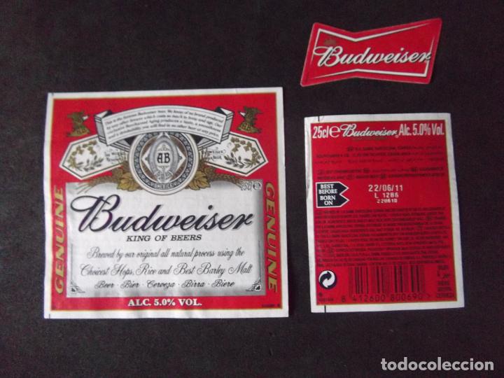 Old Labels: CERVEZA-V9ET-8-ETIQUETAS-BUDWEISER