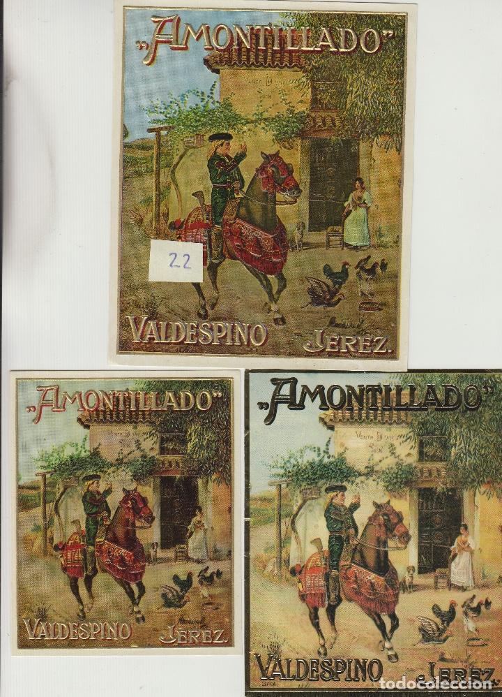 Old Labels: VALDESPINO JEREZ , AMONTILLADO -ETIQUETA VINO
