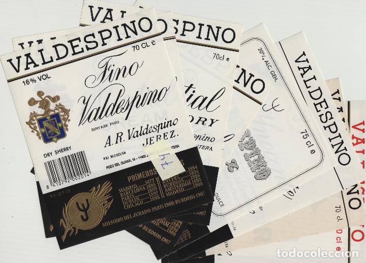 Old Labels: VALDESPINO JEREZ, exposiciones premios -ETIQUETA VINO (lote de 9 todas diferentes . ver fotos