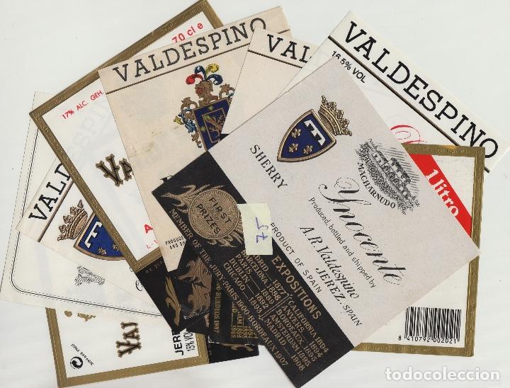 Old Labels: VALDESPINO JEREZ, exposiciones premios -ETIQUETA VINO (lote de 9 todas diferentes . ver fotos