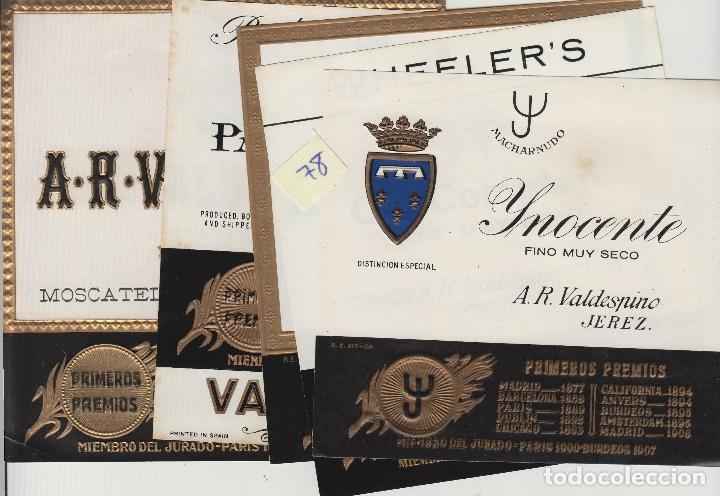 Alte Etiketten: VALDESPINO JEREZ, SHERRY exposiciones premios -ETIQUETA VINO (lote de 5 todas diferentes . ver fotos