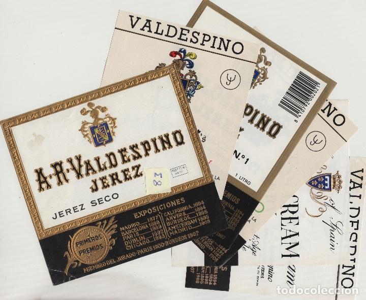 Alte Etiketten: VALDESPINO JEREZ, SHERRY exposiciones premios -ETIQUETA VINO (lote de 5 todas diferentes . ver fotos