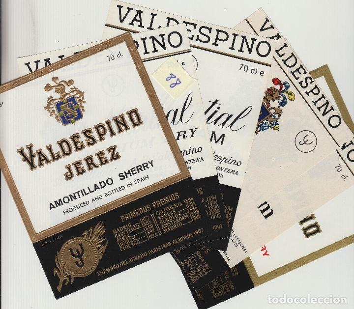Old Labels: VALDESPINO JEREZ, SHERRY exposiciones premios -ETIQUETA VINO (lote de 6 todas diferentes . ver foto
