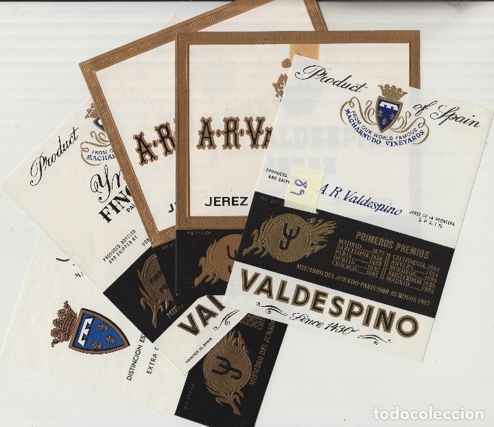 Alte Etiketten: VALDESPINO JEREZ, SHERRY exposiciones premios -ETIQUETA VINO (lote de 5 todas diferentes . ver foto