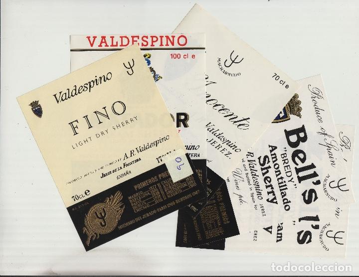 Alte Etiketten: VALDESPINO JEREZ, SHERRY exposiciones premios -ETIQUETA VINO (lote de 5 todas diferentes . ver foto