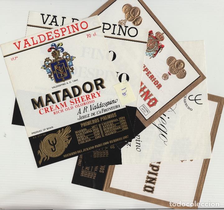 Alte Etiketten: VALDESPINO JEREZ, SHERRY exposiciones premios -ETIQUETA VINO (lote de 5 todas diferentes . ver foto