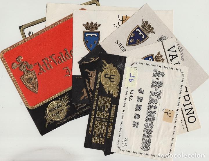 Old Labels: VALDESPINO JEREZ, SHERRY exposiciones premios -ETIQUETA VINO (lote de 7 todas diferentes . ver foto
