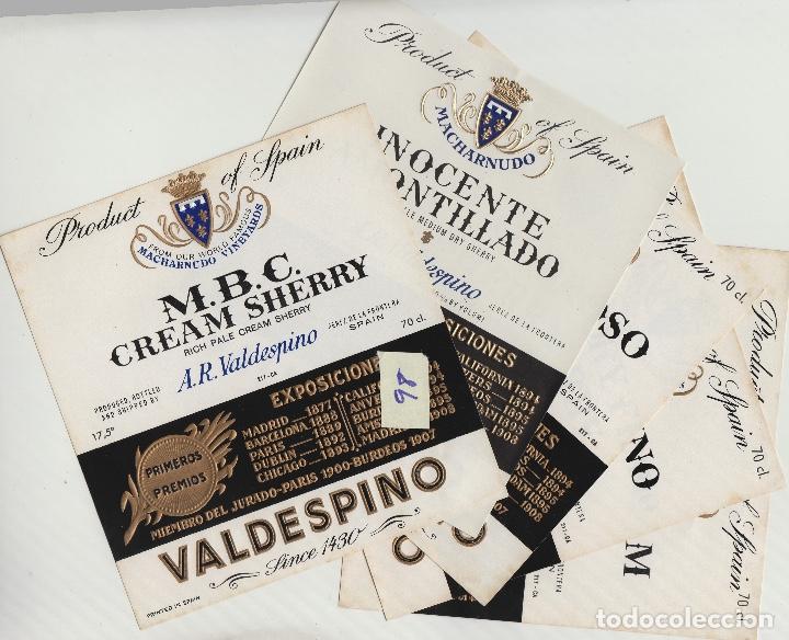 Old Labels: VALDESPINO JEREZ, SHERRY exposiciones premios -ETIQUETA VINO (lote de 6 todas diferentes . ver foto