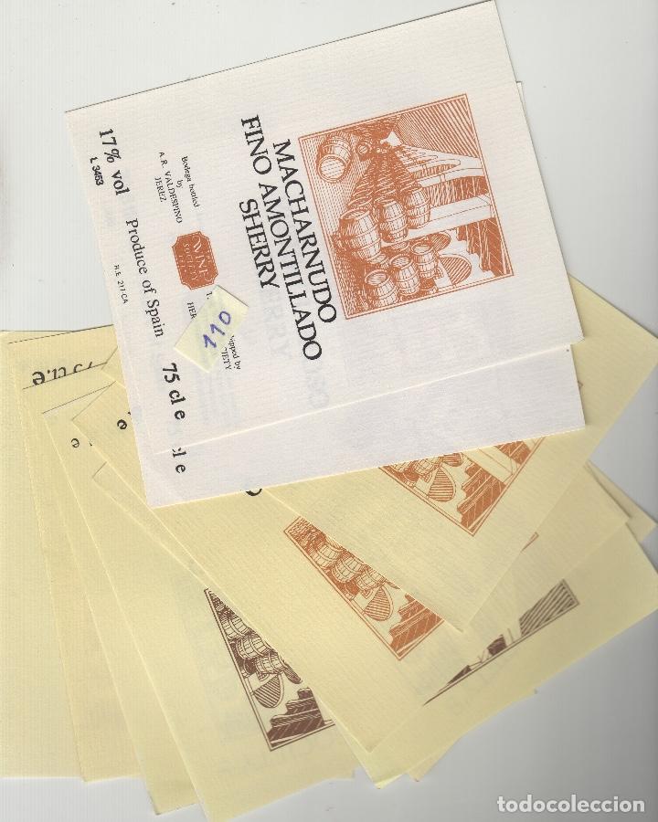 Old Labels: VALDESPINO JEREZ, SHERRY -ETIQUETA VINO (lote de 10 )