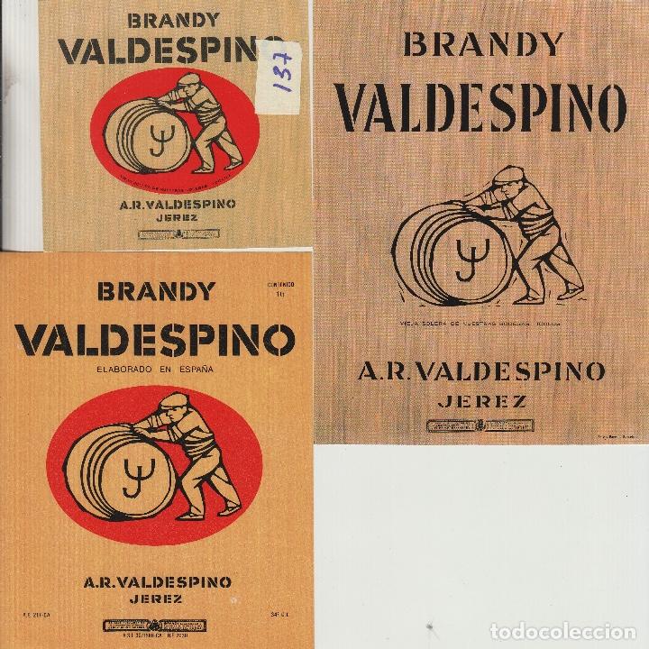 Etiquetas antiguas: VALDESPINO JEREZ BRANDY -ETIQUETA VINO .