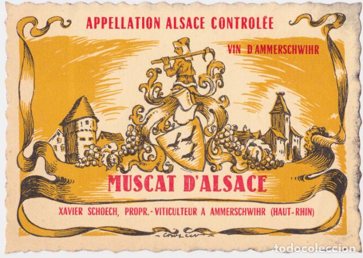 Etichette antiche: 19 ETIQUETAS DE VINO FRANC&Eacute;S DE ALSACIA - APPELLATION ALSACE CONTROL&Eacute;E