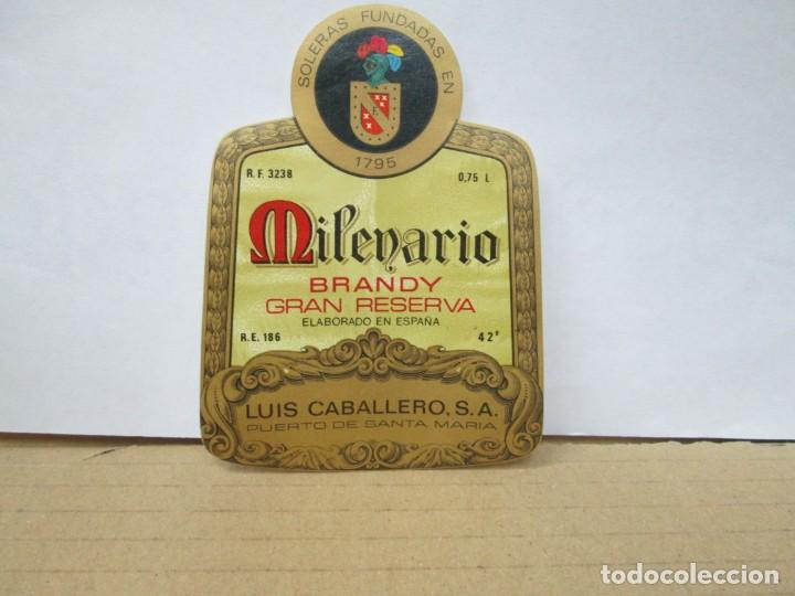 Etiquetas antiguas: ANTIGUA ETIQUETA BRANDY CO&Ntilde;AC, MILENARIO GRAN RESERVA