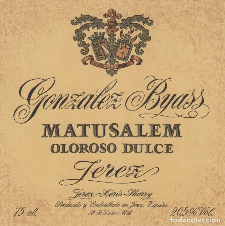 Etiquetas antiguas: GONZALEZ BYASS . JEREZ SHERRY MATUSALEM OLOROSO MUY VIEJO . ETIQUETA VINO ORIGINAL ref 10