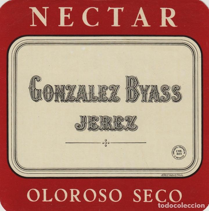 Etiquetas antiguas: GONZALEZ BYASS . JEREZ SHERRY NECTAR OLOROSO SECO . ETIQUETA VINO ORIGINAL ref 17